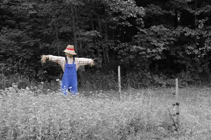 scarecrow-670720_1920